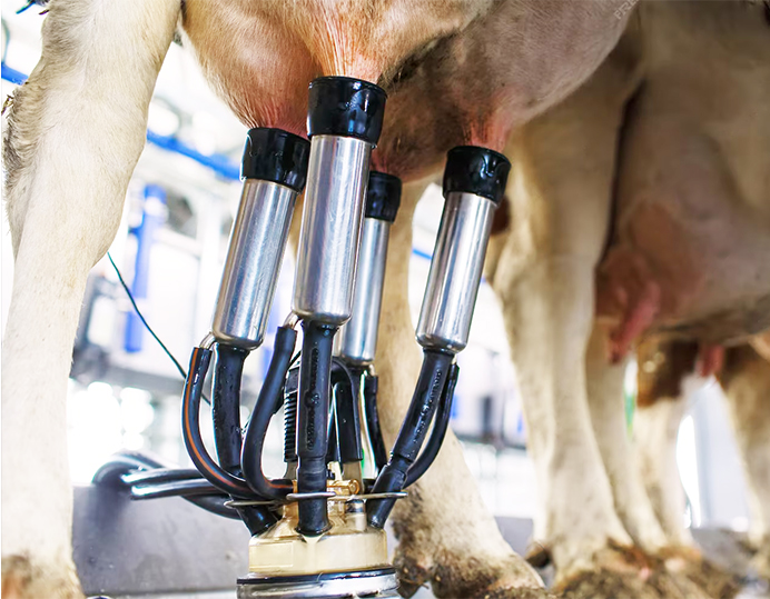 MILKING MACHINE